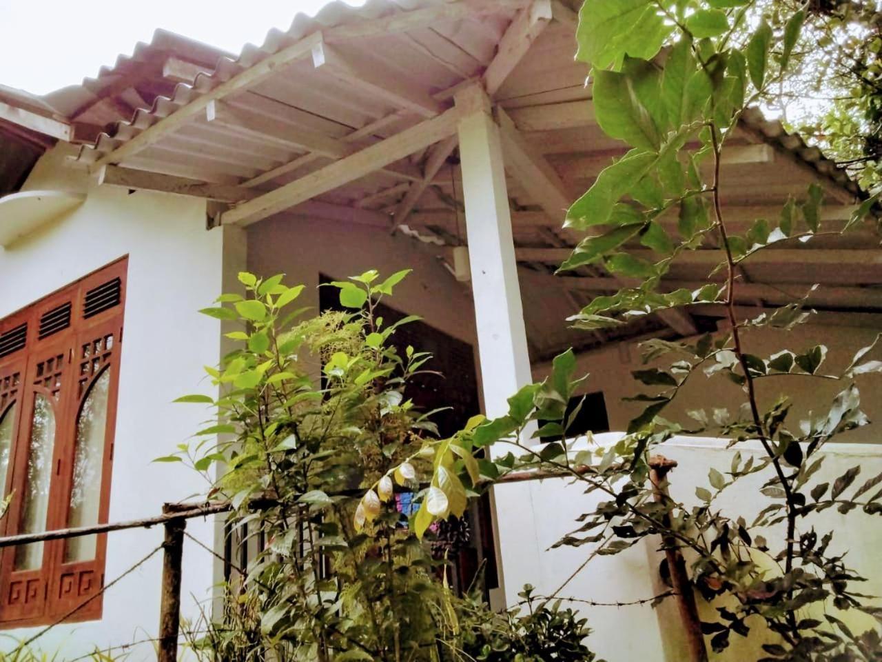 Ella Mount Villa Luaran gambar