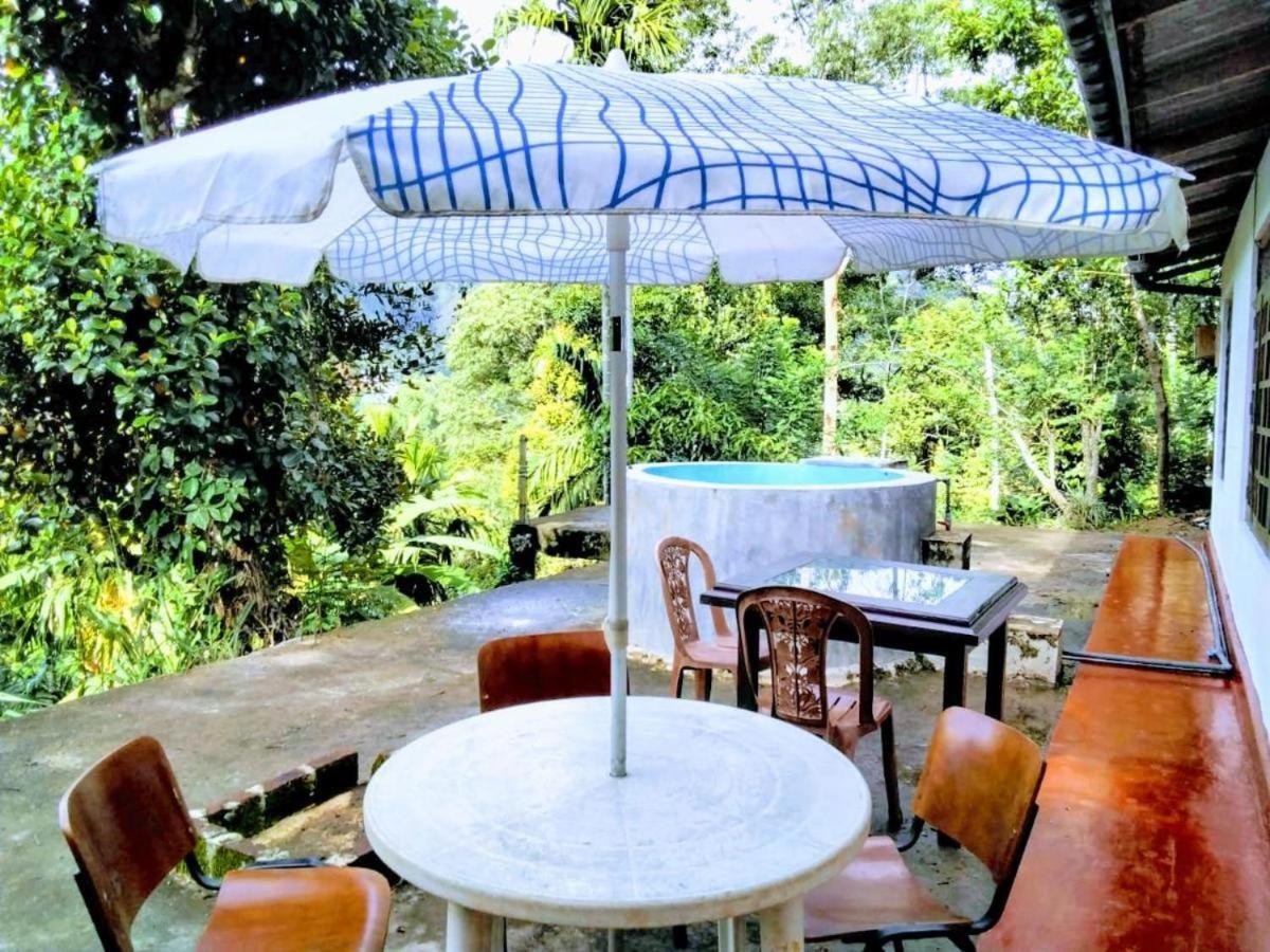 Ella Mount Villa Luaran gambar