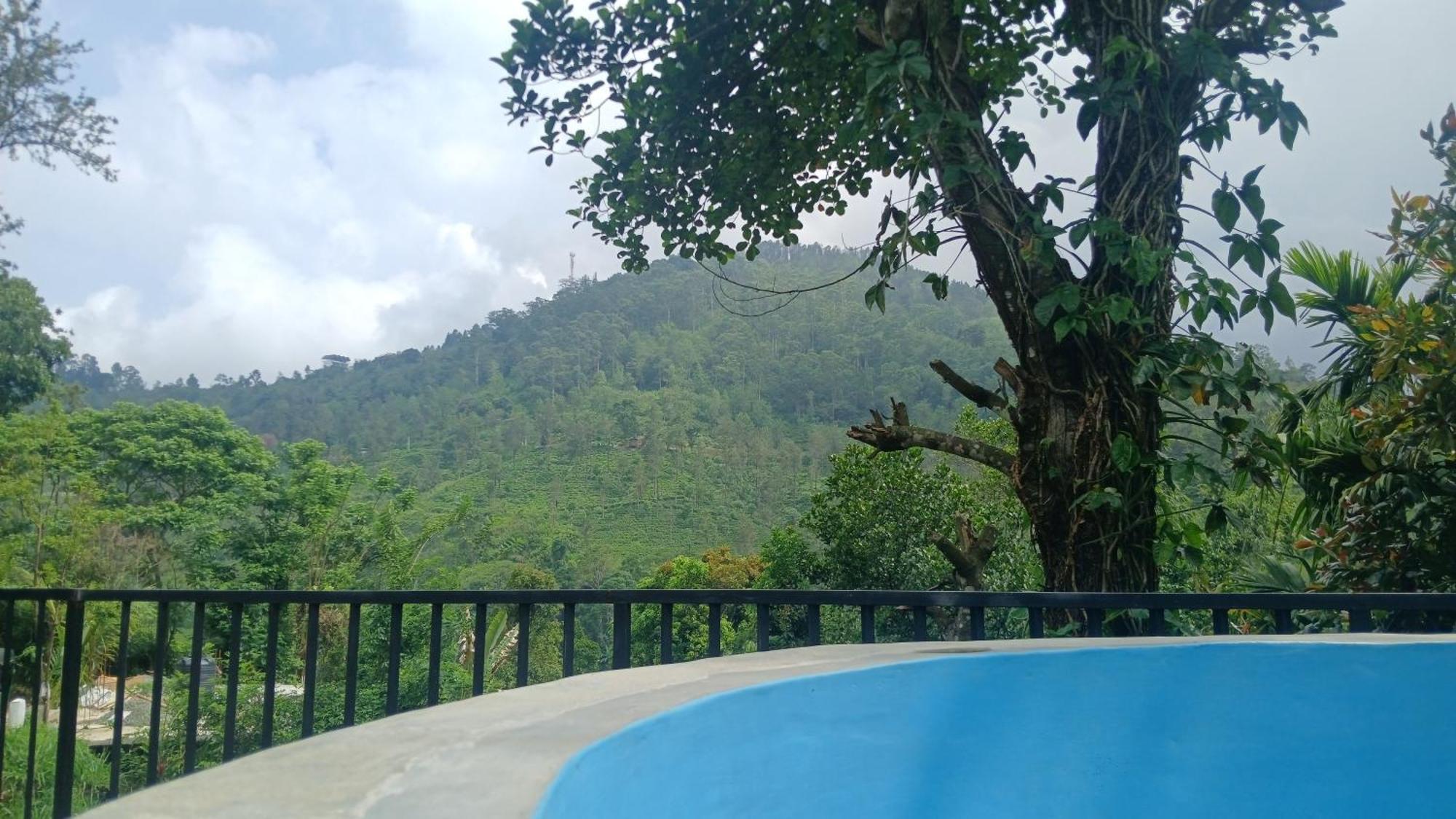 Ella Mount Villa Luaran gambar